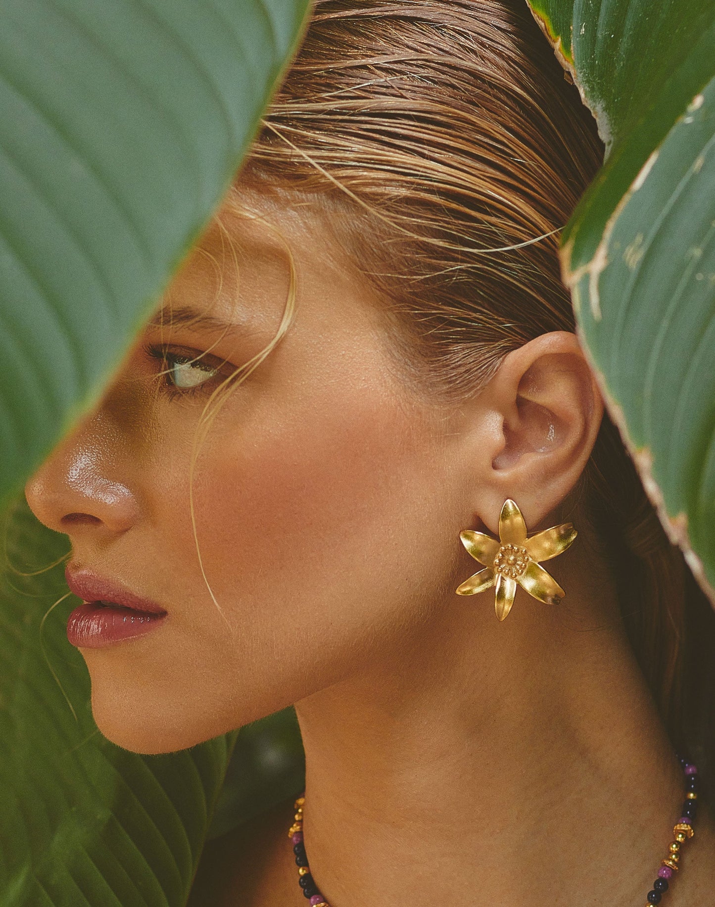 ARETES PASSIFORA