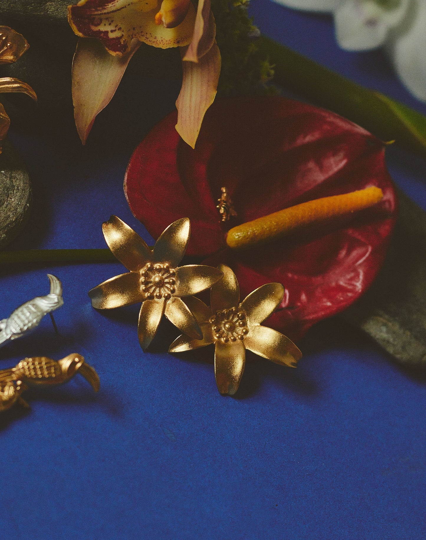 ARETES PASSIFORA