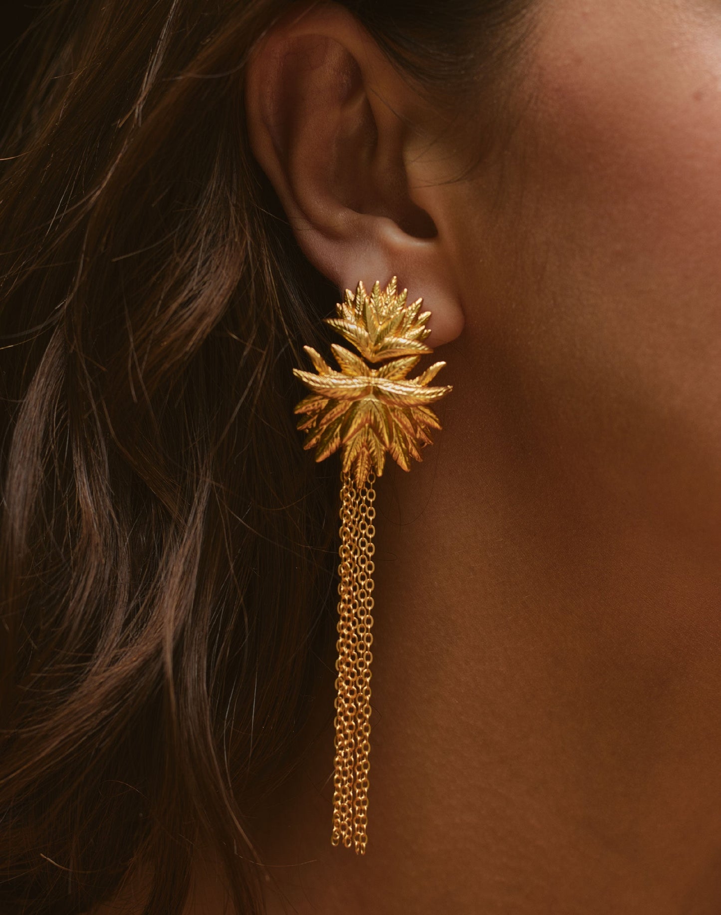 PENDIENTES FRAILEJON