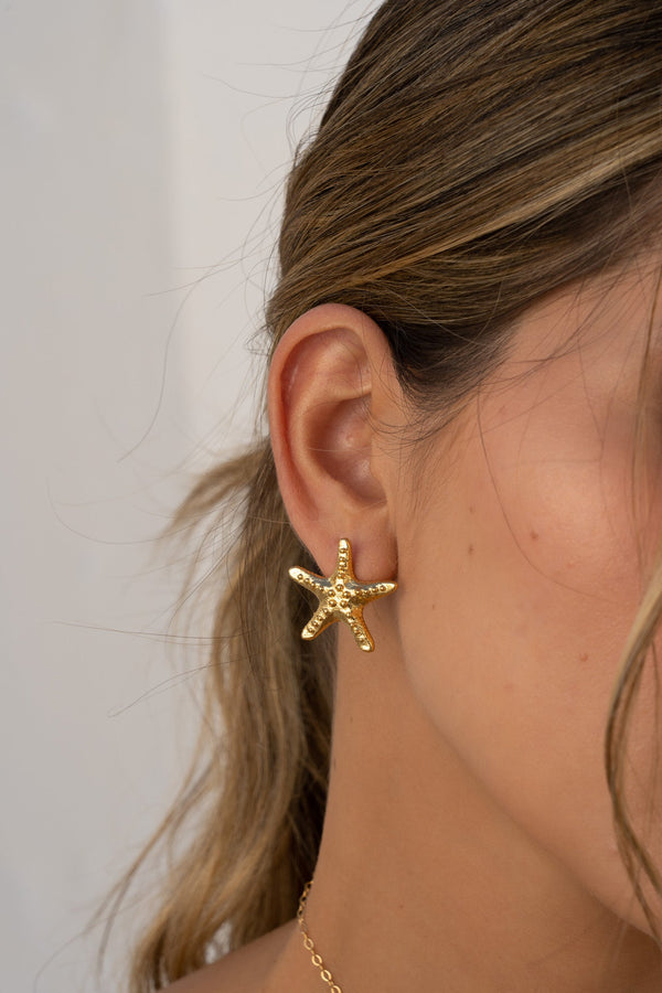 SET COLLAR CON DIJE ESTRELLA DE MAR + ARETES