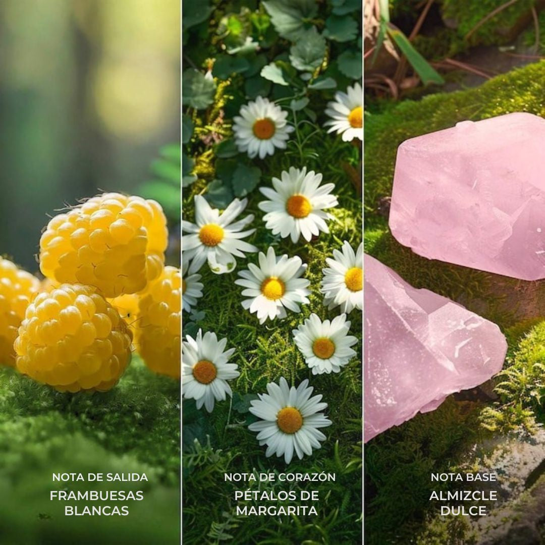 DAISY LOVE MARC JACOBS AGUA TAN DULCE EAU DE TOILETTE SPRAY 50ML