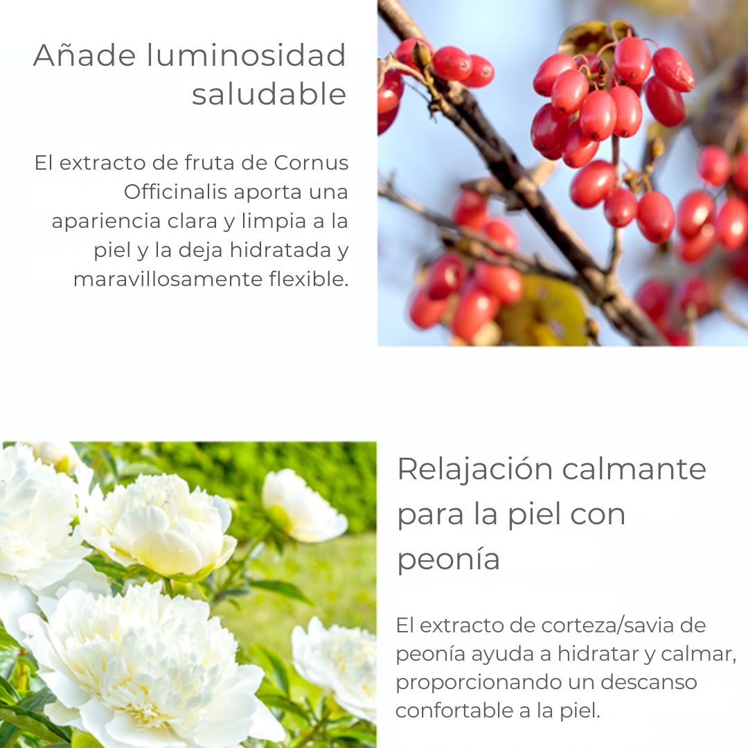 PYUNKANG YUL PKY CREMA REPARADORA INTENSIVA - CREMA HIDRATANTE DE CERAMIDA PARA PIEL SECA CON MANTECA DE KARITÉ Y ACEITE DE MACADAMIA