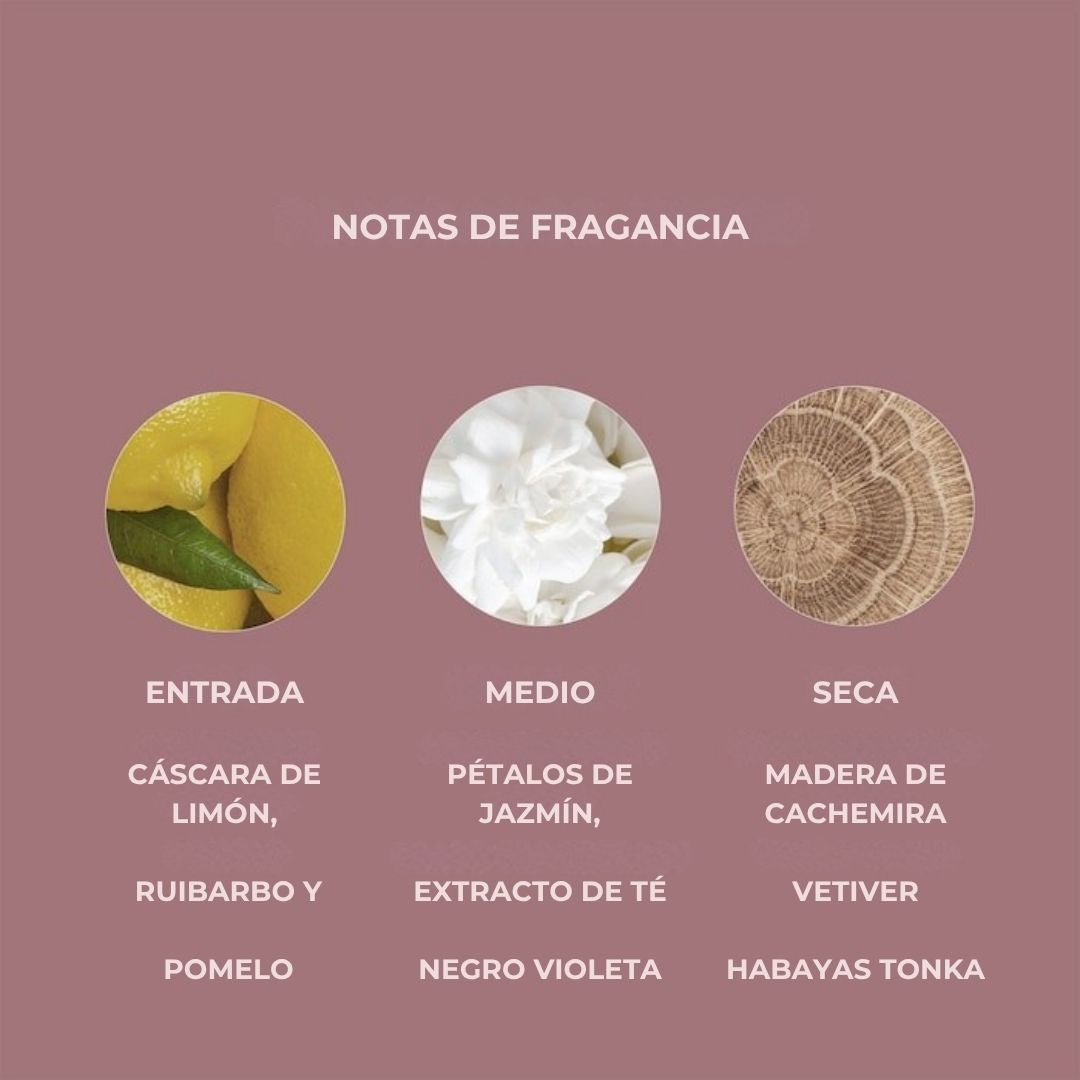 RARE BEAUTY BY SELENA GOMEZ | LOCIÓN CORPORAL HIDRATANTE CON NIACINAMIDA FIND COMFORT 250ML