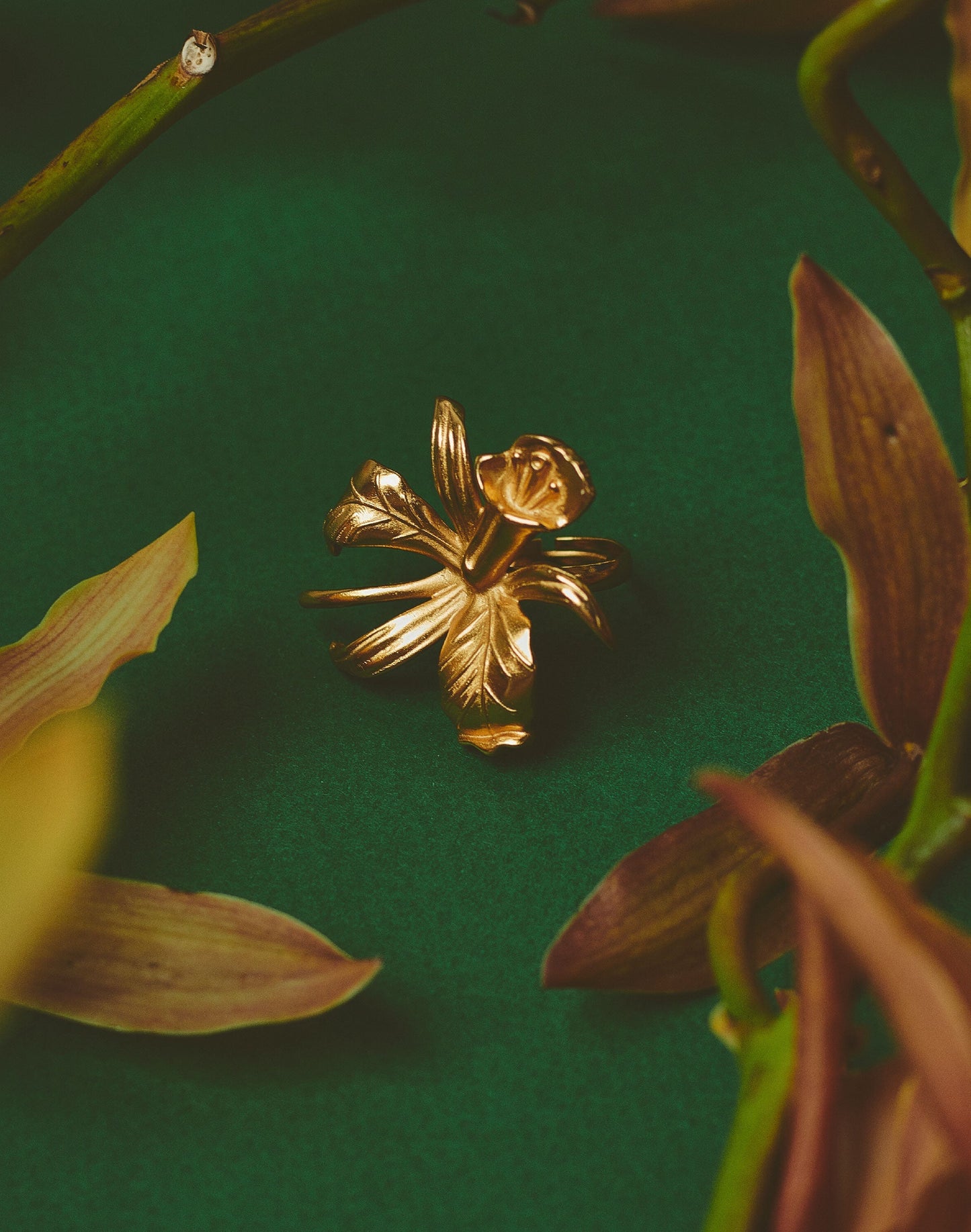 ANILLO ORQUÍDEA