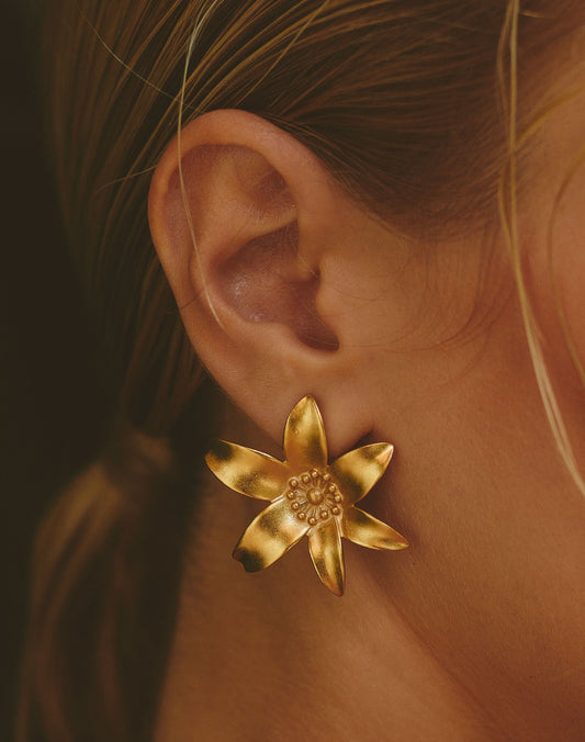 ARETES PASSIFORA