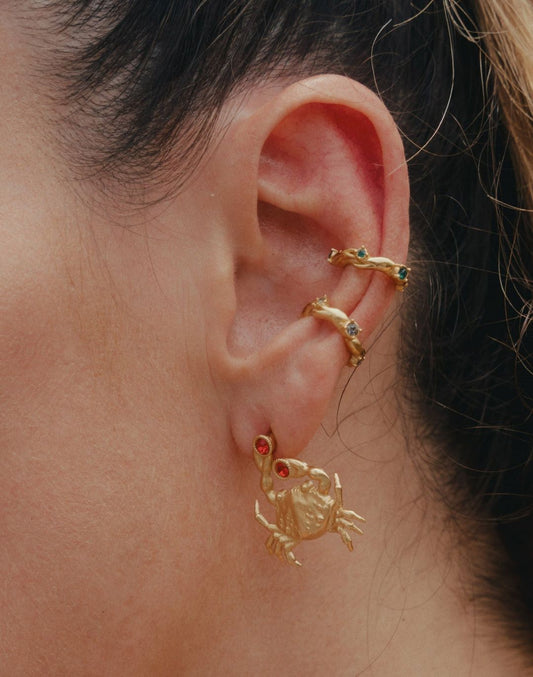 EARPARTY CANGREJO TIGRE