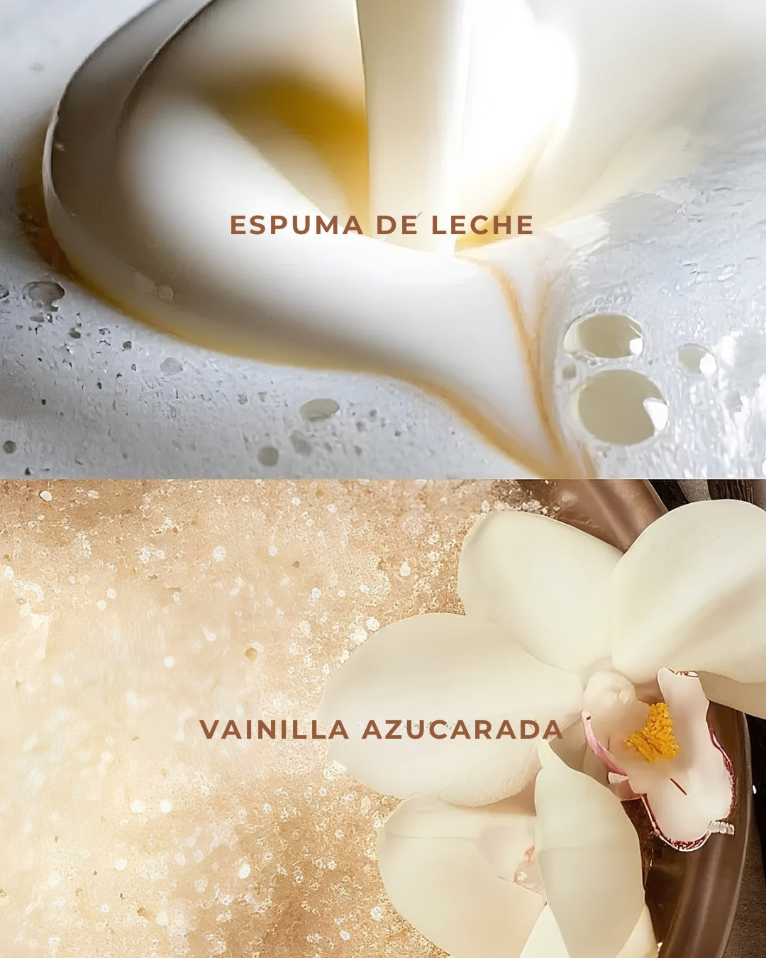 VICTORIA'S SECRET | AZÚCAR BATIDO Y LECHE BRUMA CORPORAL