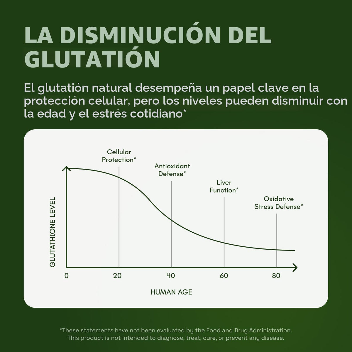 CATA-KOR | GLUTATIÓN LIPOSOMAL 1000 MG (60 UNIDADES)