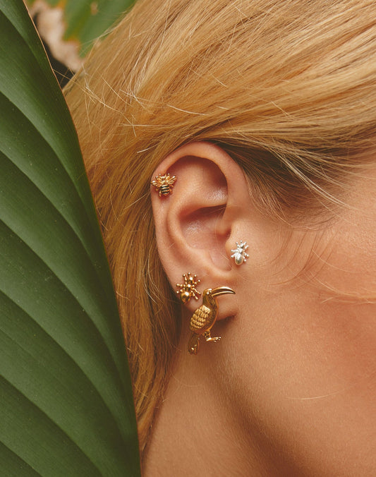 SET DE 5 ARETES BOTÁNICO